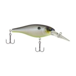Berkley - Bad Shad -Fishing Sales 1107141 f4486f4a bf89 4231 8422 fe772a48744a