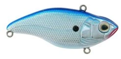 Spro - Aruku Shad 75 14 Spro - Aruku Shad 75 -Fishing Sales ARUKU SHAD 75 CHROME BLUE 97136e1d 3bce 453f 9ac6 ef006e46ba48