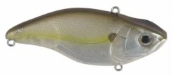 Spro - Aruku Shad 75 15 Spro - Aruku Shad 75 -Fishing Sales ARUKU SHAD 75 CLEAR CHARTREUSE 003cfdca 1ccb 480e a53f 2679bfb09b26