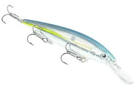 Strike King - Kvd Deep Jerkbait 3 Strike King - Kvd Deep Jerkbait - Image 3
