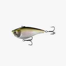 Berkley - Wakebull Wake 11 Berkley - Wakebull Wake - Image 11