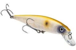 Strike King - Kvd Jerkbait 19 Strike King - Kvd Jerkbait -Fishing Sales HCKVDJ200 299 513418b8 cbf7 4364 98d8 0075facc50fc