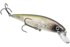 Strike King - Kvd Jerkbait 22 Strike King - Kvd Jerkbait -Fishing Sales HCKVDJ200 408 4770f0df c617 4caf 8e65 aa311b2a20c0