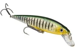 Strike King - Kvd Jerkbait 20 Strike King - Kvd Jerkbait -Fishing Sales HCKVDJ200 464 390ec4ba d479 4ca1 adff 5db594411b70