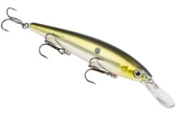 Strike King - Kvd Deep Jerkbait 18 Strike King - Kvd Deep Jerkbait -Fishing Sales HCKVDJ300D 685 mag 23570ee7 d8e7 45f1 b9a2 2274219b496d