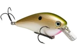 Strike King - Kvd Square Bill Crankbait 21 Strike King - Kvd Square Bill Crankbait -Fishing Sales HCKVDS4.0 517 mag a08feb80 1f0f 4c33 b3e6 86e99a55f9a1