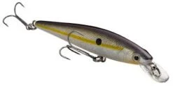 Strike King - Kvd Jerkbait 25 Strike King - Kvd Jerkbait -Fishing Sales JSS 94aa79f0 660f 4152 8f58 fad92080bd61