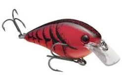 Strike King - Kvd Square Bill Crankbait 26 Strike King - Kvd Square Bill Crankbait -Fishing Sales KVD f1a6711b 3003 4210 a8fe 2799bbdd46e5