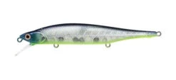 Lucky Craft Lighting Pointer 98XR Jerkbait -Fishing Sales LUCKYCRAFT1 74c6ee6d 41c6 406f be26 0dc7b328c8e2