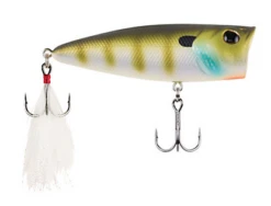 Berkley - Bullet Pop -Fishing Sales MF BLUEGILL a98bab50 bb80 4d43 874c 31349c358ddc