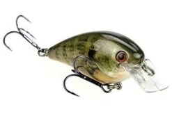 Strike King - Kvd Square Bill Crankbait 28 Strike King - Kvd Square Bill Crankbait -Fishing Sales NATURAL BREAM a1b57ea7 00e5 4223 81ac acfbb155e751