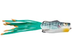 Strike King - Kvd Popping Perch -Fishing Sales Northern Bluegill f5072907 9c58 448c ae8e b21753c3007c