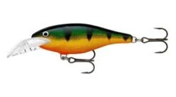 RAPALA - SCATTER RAP SHAD DEEP -Fishing Sales P 65323da7 a46a 4449 a526 b0804bd37ab9