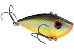 STRIKE KING RED EYED SHAD 3/4 OZ 3" 17 STRIKE KING RED EYED SHAD 3/4 OZ 3" -Fishing Sales RE432 d91718df 3e26 4047 97d8 445b308556fc
