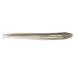 Zman - Trd Minnowz -Fishing Sales SMELT 9b7b0454 d9f0 44bd 84d3 3f4e578f9600