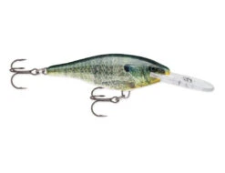 Rapala - Shad Rap -Fishing Sales SR BGL 9981496a c741 4d2d 8604 b6d10c5760e3