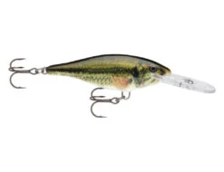 Rapala - Shad Rap -Fishing Sales SR LBL 26326e2b bd15 4428 95e9 e4b61c82d1c9