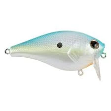 Berkley - Wakebull Wake 7 Berkley - Wakebull Wake - Image 7