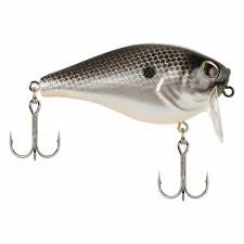 Berkley - Wakebull Wake 5 Berkley - Wakebull Wake - Image 5