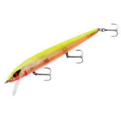 Smithwick - Perfect 10 Rogue 11 Smithwick - Perfect 10 Rogue -Fishing Sales adr5 290 1 aabe37ff 4723 484f 9cac 50291470cce2