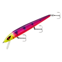 Smithwick - Perfect 10 Rogue 8 Smithwick - Perfect 10 Rogue -Fishing Sales adr5 291 1 9f0eeb55 2813 45a8 9a04 eaf7e701ec93