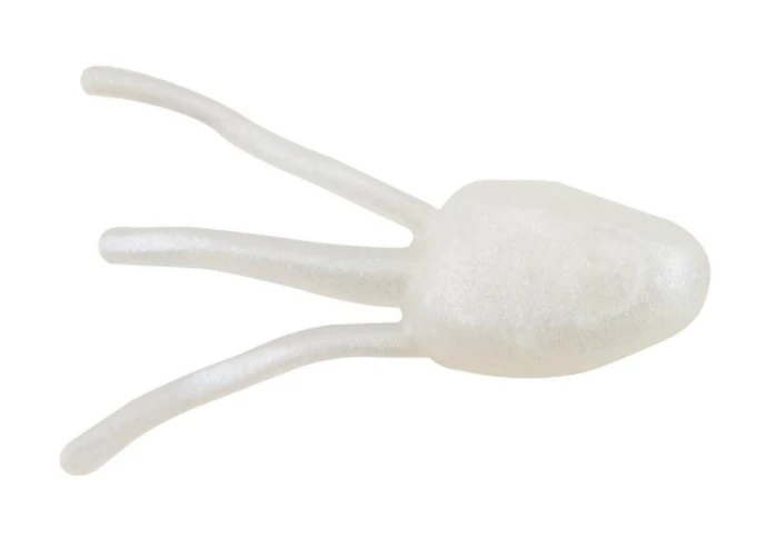 Berkley Gulp Minnow Head Pearl White 1 Berkley Gulp Minnow Head Pearl White