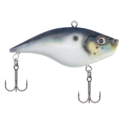 Berkley - Warpig -Fishing Sales blueback 377bcf86 2050 4113 bd12 a8d5deacfcc4