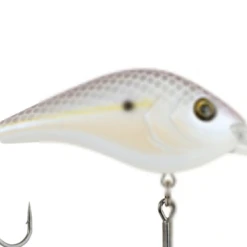 Berkley Dredger 37 Berkley Dredger -Fishing Sales download 11 67f806dd 0338 4536 9848 cc36fd3224b1