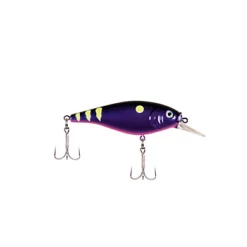 Berkley Flicker Shad Shallow 13 Berkley Flicker Shad Shallow -Fishing Sales download 12 c81a68d3 a34c 4784 b9f3 a7189d7348e1