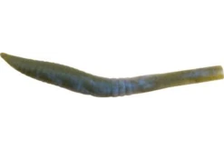 Berkley - Gulp Killer Crawler 7 Berkley - Gulp Killer Crawler -Fishing Sales download 1 1784dd41 84fc 481b 8f7f fabb112a6bd3