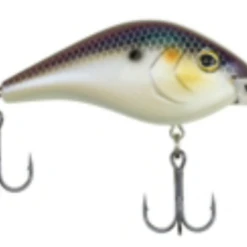 Berkley Dredger 24 Berkley Dredger -Fishing Sales download 4 1b6f41b2 92d6 4c26 b37a 856295b750b5