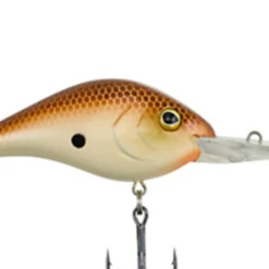 Berkley Dredger 25 Berkley Dredger -Fishing Sales download 5 63c3c408 79dc 4875 a612 df1c48c6afdd