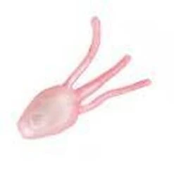 Berkley Gulp Ice Minnow Head