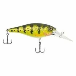 Berkley - Bad Shad -Fishing Sales s l300 1 2e9f7fd6 906a 496c 81a4 8757f5827f1e