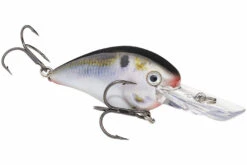 Strike King - Kvd Square Bill Crankbait 27 Strike King - Kvd Square Bill Crankbait -Fishing Sales strike king kvd 1 5 deep crankbait hckvds1 5d 699 2dabe786 c638 4e81 8e0e 3e7a7c00f1c8